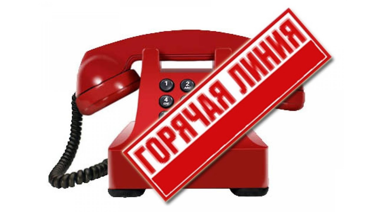 горячая линия01